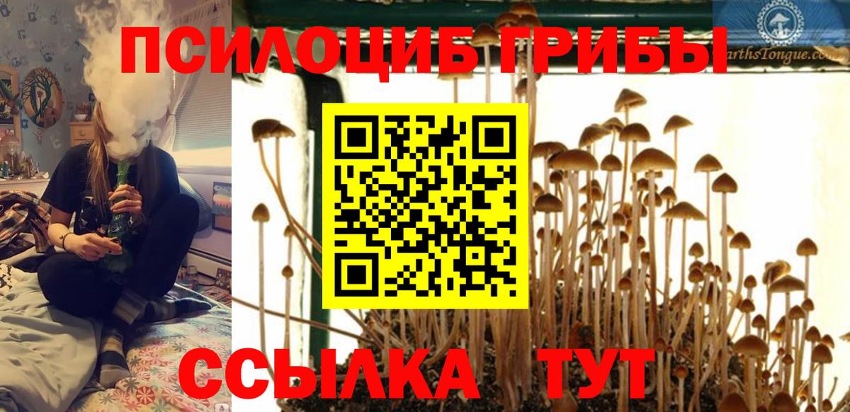 Троицк  Псилоцибиновые грибы мухоморы  Вход с VPN  Псилоцибиновые грибы мицелий 